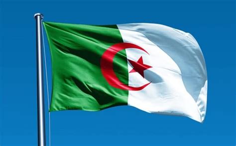 بحث حول علم الجزائر